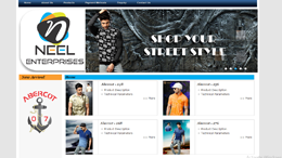 neel enterprises website developed by Dezino Graphics